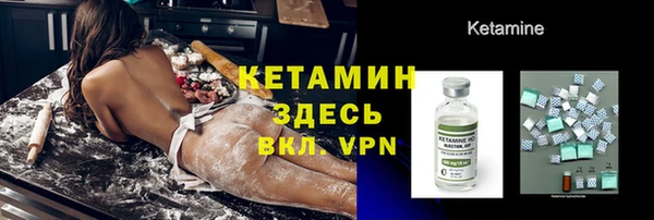 шишки Арсеньев