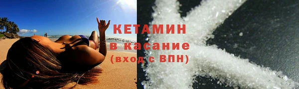 шишки Арсеньев