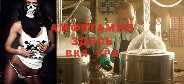 шишки Арсеньев