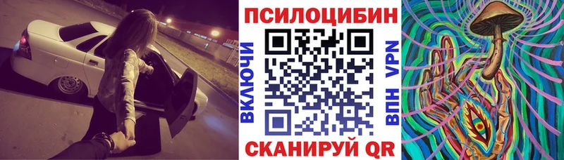 Галлюциногенные грибы прущие грибы  что такое наркотик  мега сайт  Черняховск 